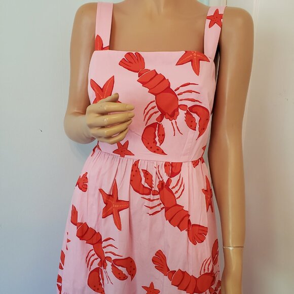 NWT J. CREW Beautiful cotton Summer Dress. - Picture 4 of 12